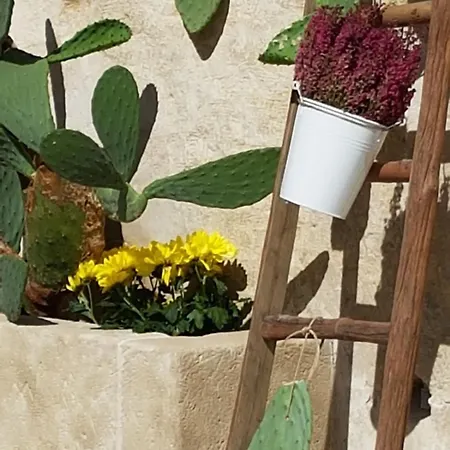 Le Luminarie Sassi *