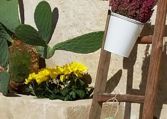 Le Luminarie Sassi *