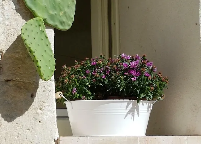 Le Luminarie Sassi *